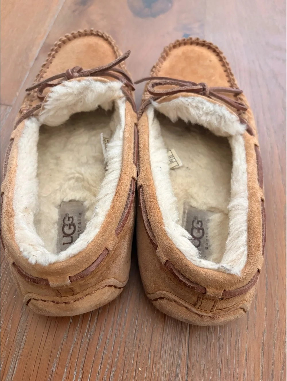 UGG experience ultimate